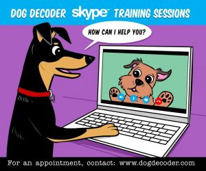 dog trainer training